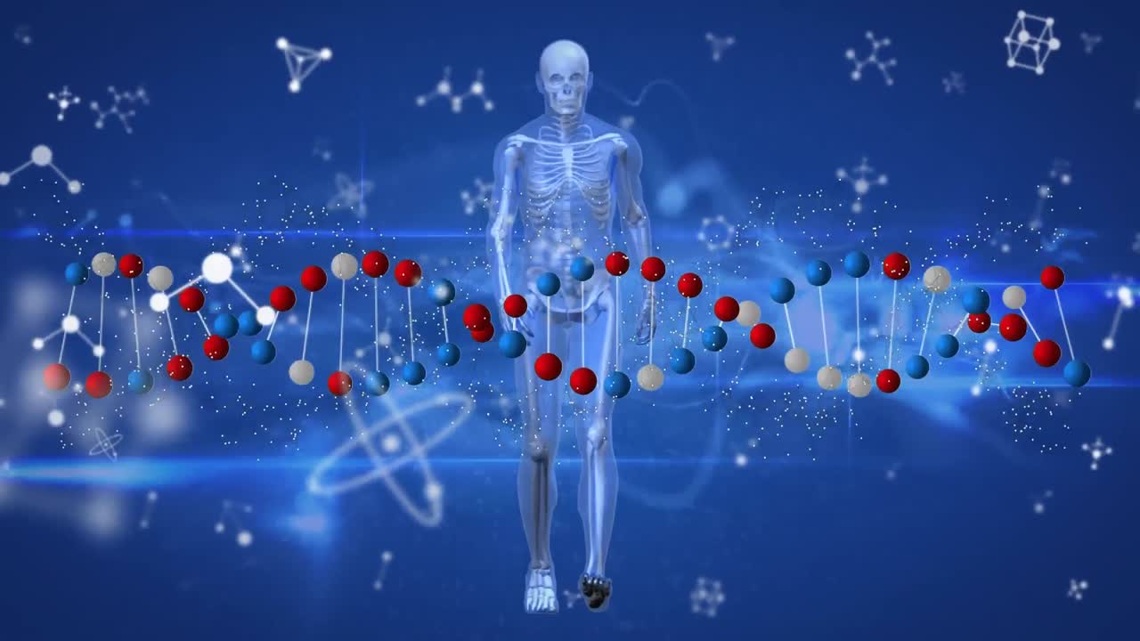 파란색 배경에 디지털 인간 위에 있는 dna 줄무와 분자의 애니메이션.