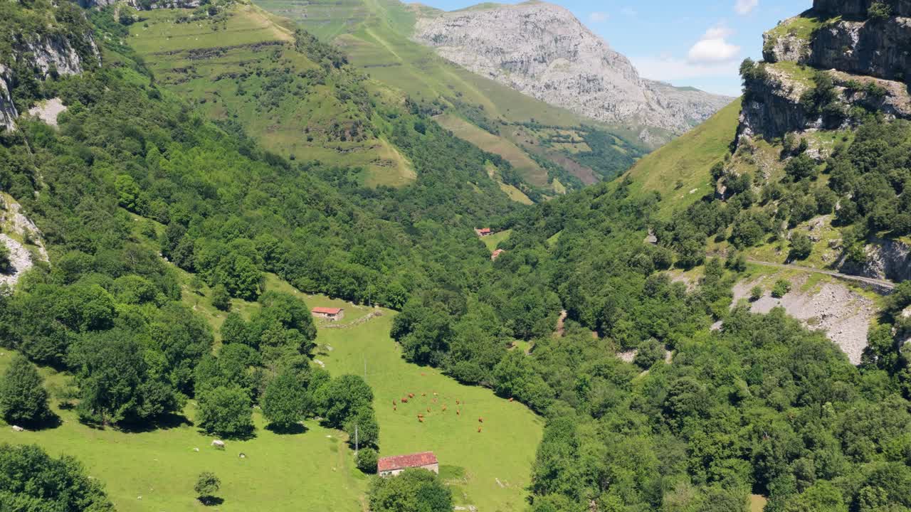 Vista Aérea de um Vale Montanhoso Verde com Gado Pastando e Casas Rústicas
