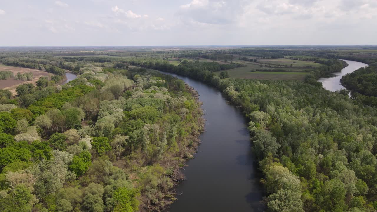 Salita aerea sopra un'ansa del fiume Tibisco che scorre attraverso foreste e campi in Ungheria