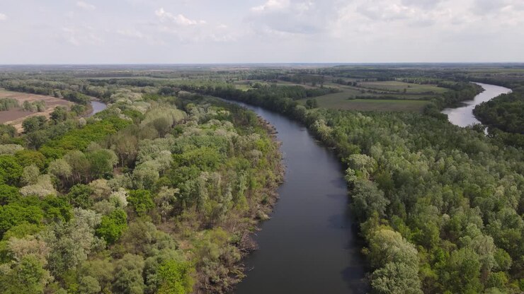 Salita aerea sopra un'ansa del fiume Tibisco che scorre attraverso foreste e campi in Ungheria
