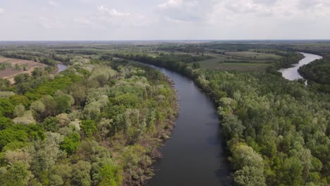 aerial rise over bend in tisza river running through forest, fields in hungary