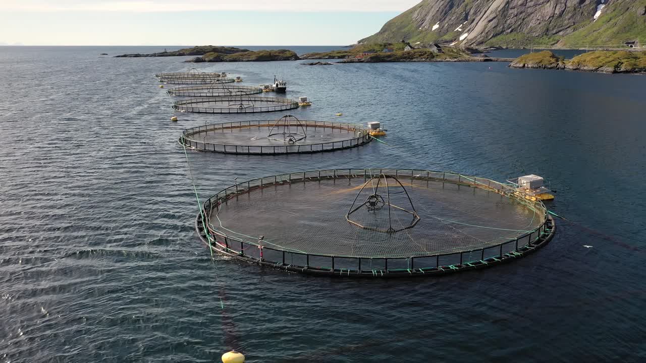 노르웨이에서 연어  ⁇ 시를 하는 공중 촬영