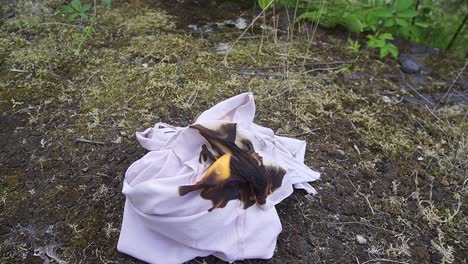 Burning-shirt-on-some-moss-in-front-of-an-abandoned-building