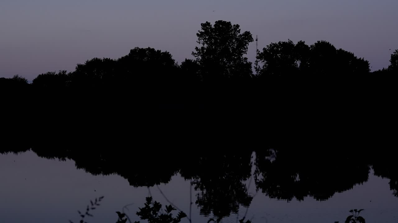 Mysterious Nightfall: Dark Lake Landscape with Tree Silhouettes