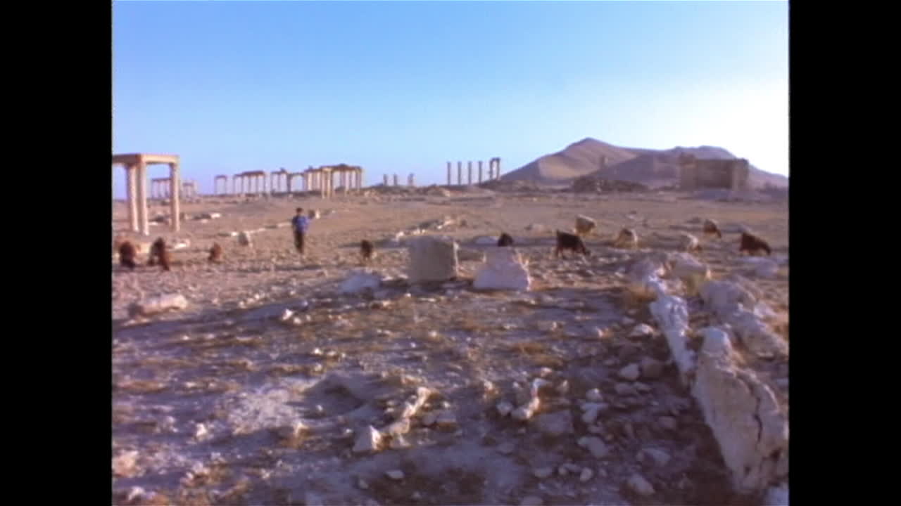 Scene di Palmira Tadmor, Siria nel 1996 3