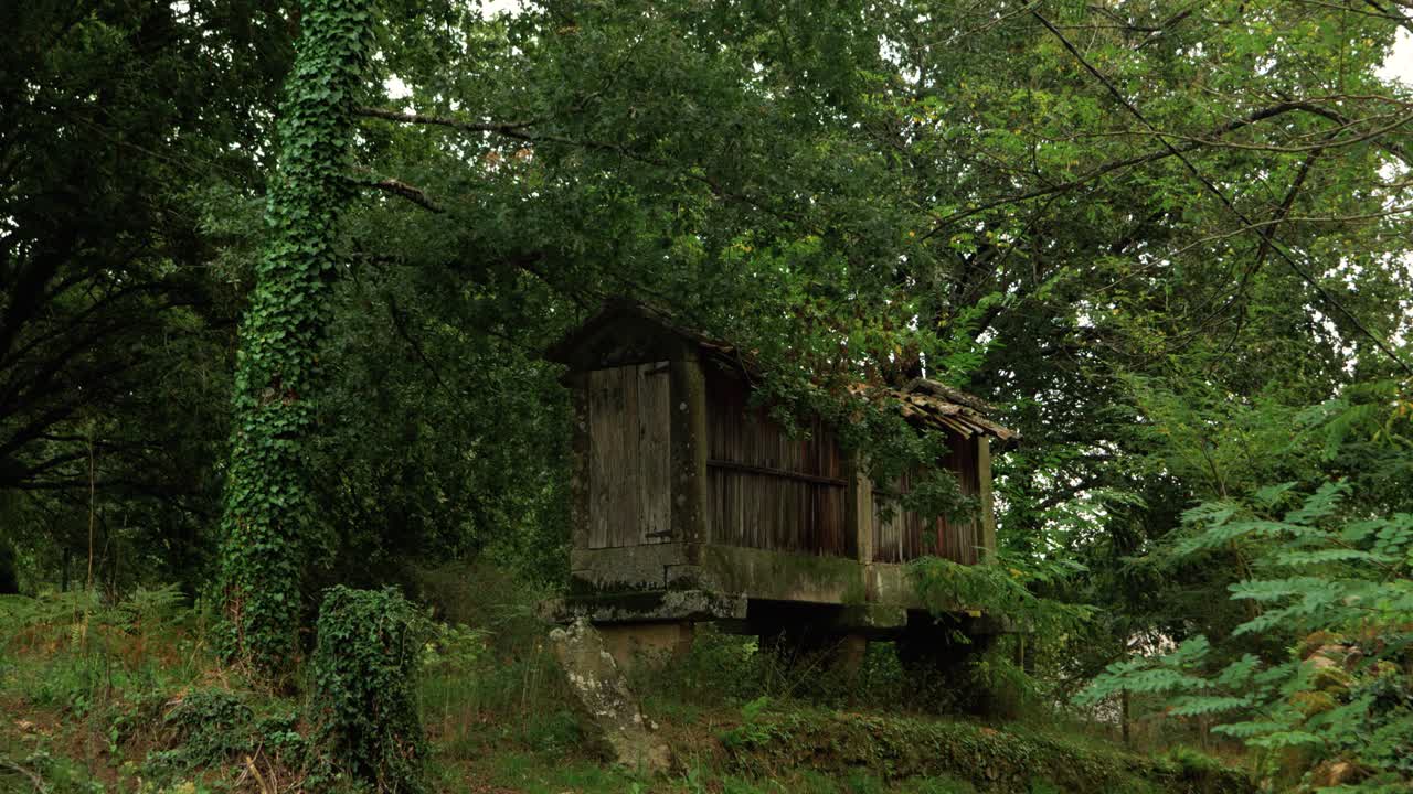 Traditional stone hórreo storage building surrounded by greenery in Coles, Ourense, Galicia, Spain