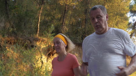 mature couple jogging in park