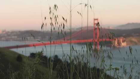 golden gate bridge at sunset - cinematic