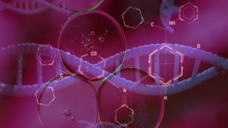 animación de burbujas sobre cadena de adn y fórmula química en fondo púrpura.