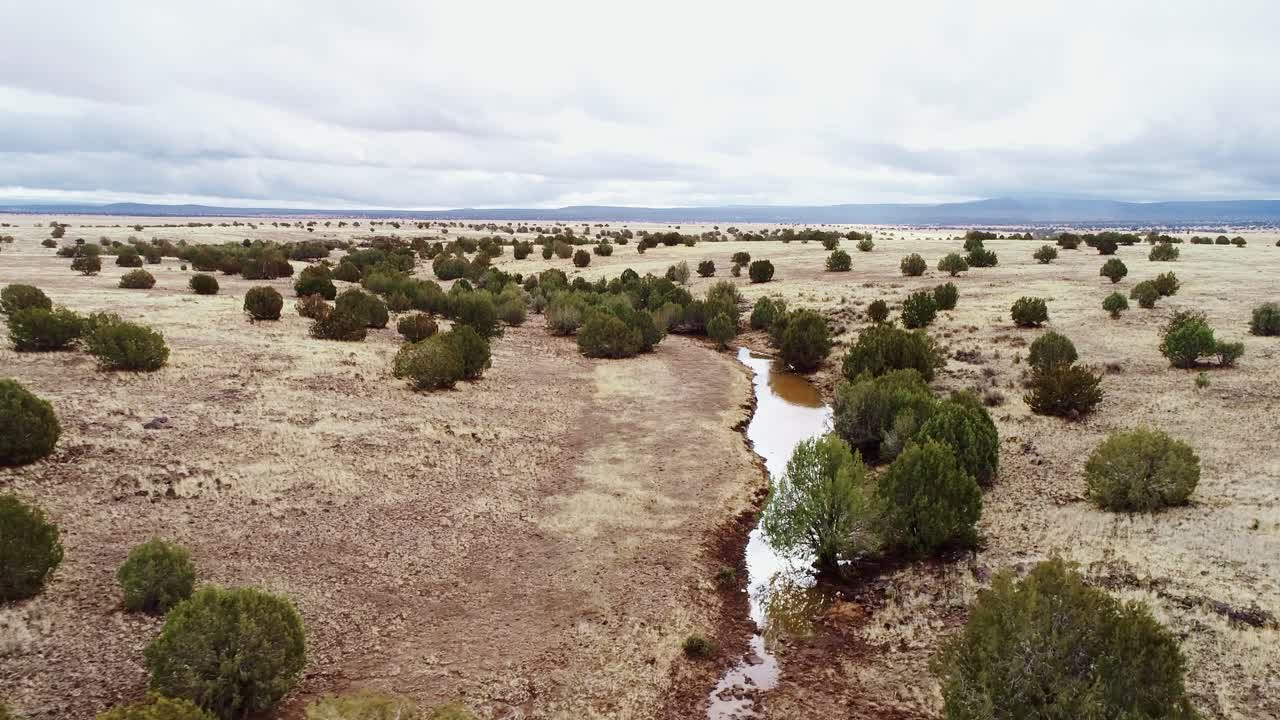 Drone flies above a quiet American savannah with trees, dry grass, peaceful sky