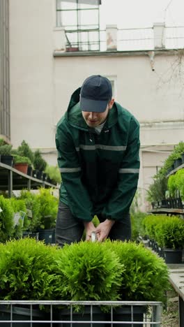 gardener arranging potted plants
