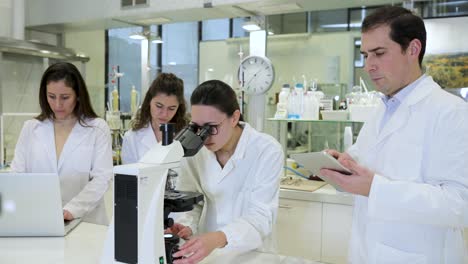 equipo de investigadores científicos que trabajan juntos en el laboratorio
