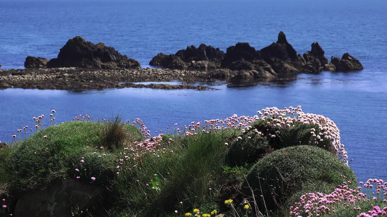 Seapinks rocks and blue seas Copper Coast Waterford Ireland Epic Locations