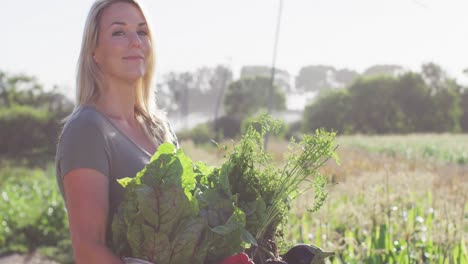 video of happy caucasian woman with box of fresh vegetables in field on sunny day