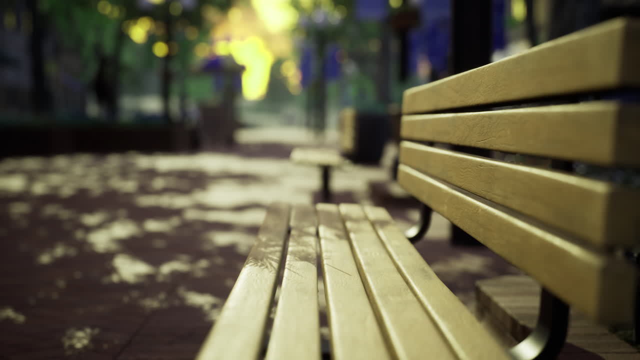 Benches in a serene urban park during a quiet evening stroll in autumn