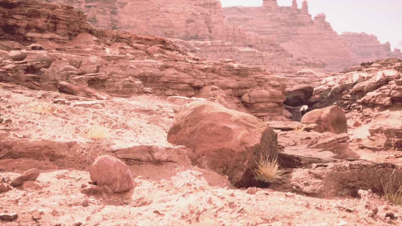 impresionante paisaje del cañón de la roca roja