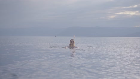 Attractive-young-girl-swimming-in-a-mountain-lake