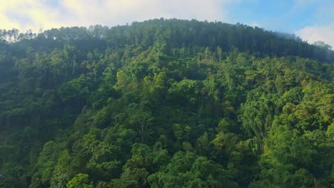 Drone-Volando-Sobre-Un-Hermoso-Bosque-Verde-En-La-Colina-Por-La-Mañana