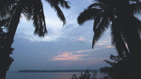 Silhouette-of-coconut-trees-facing-backwaters-on-beautiful-sunset,-Steady-shot