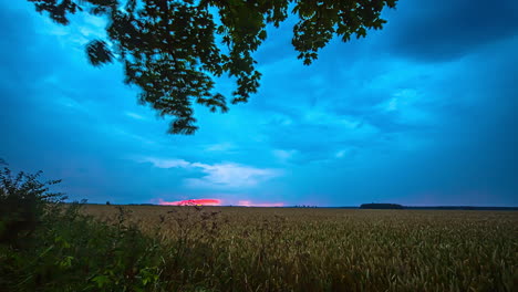 static shot of lighting bolt flashing in timelapse in the sky hitting ripe wheat field in the distance during rainstorm