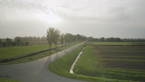 old alfa romeo driving towards camera on an open road with green fields