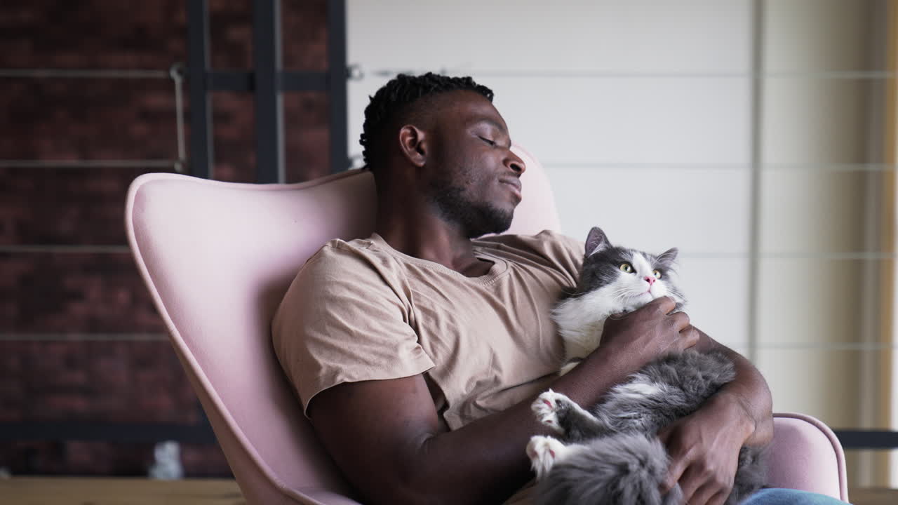 Pet owner with his cat on a chair
