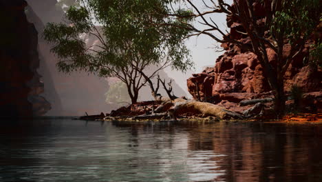 Rocks-of-Colorado-river-with-trees