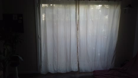 indoor white curtains reveal daylight outside of dark living room with plants