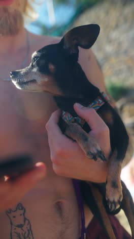 a person holding a small black and tan dog outdoors on a sunny day