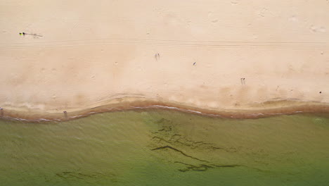 vista panorámica de la playa de jelitkowo en gdansk, con agua verde esmeralda, huellas de vehículos en la arena y personas en la playa