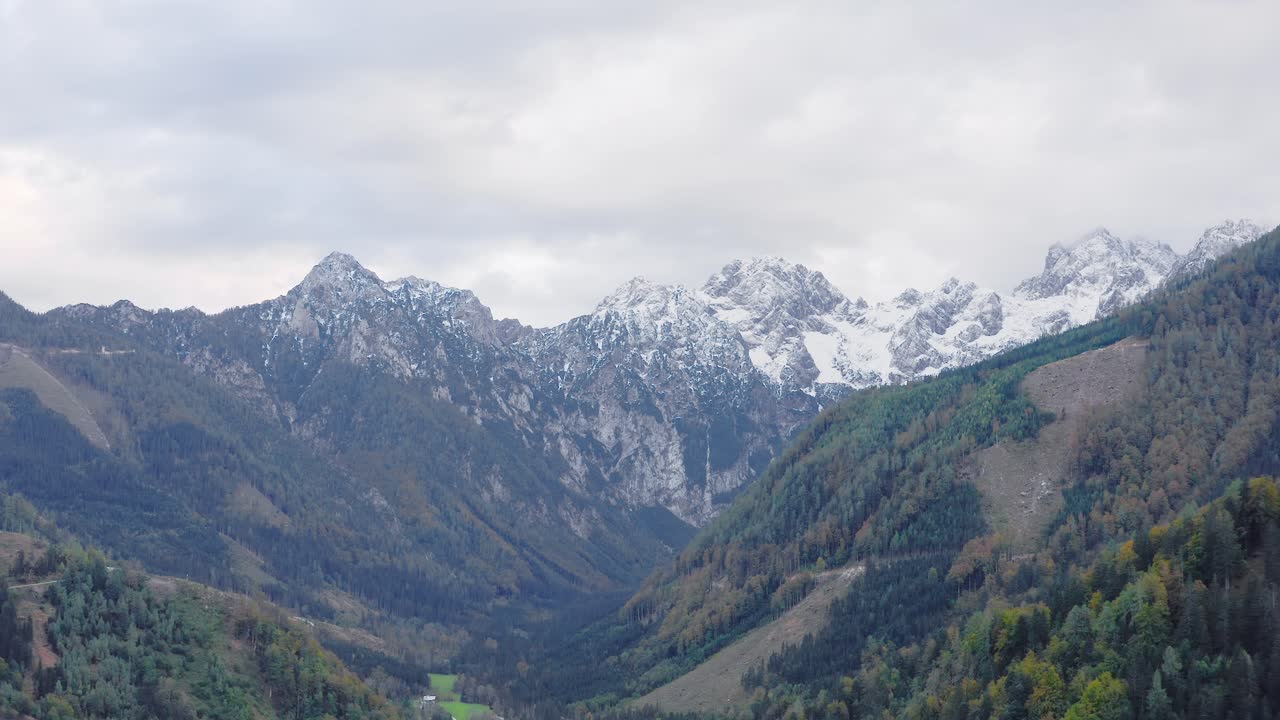 picos blancos alpinos y bosque de montaña