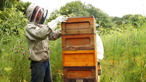 beekeeper using bee smoker