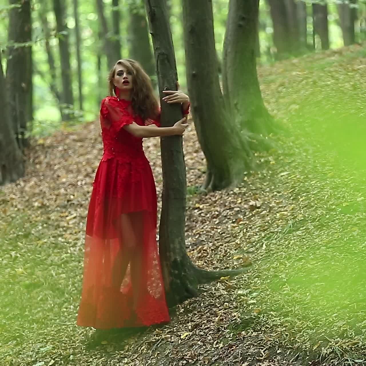 Bella donna esplora una splendida foresta