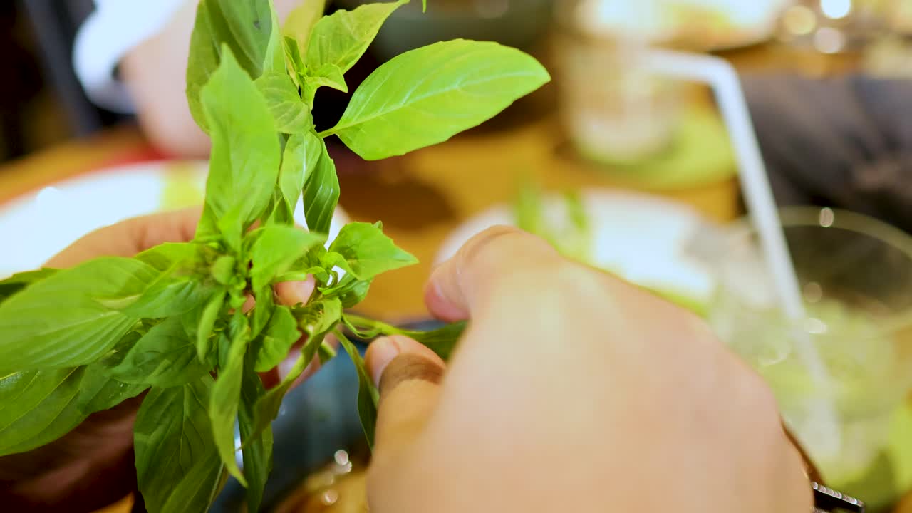 Hands adding fresh basil leaves to a dish in a vibrant dining setting. Bright lighting enhances the fresh, green leaves