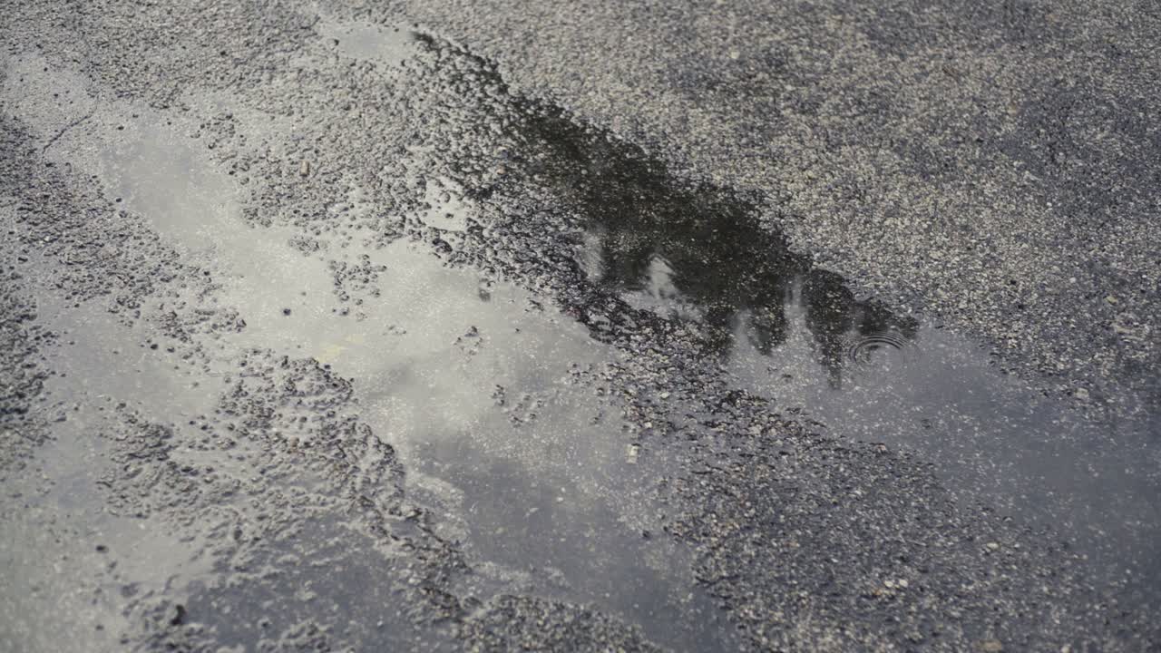 아스팔트 위의 웅이에서 비방울 2