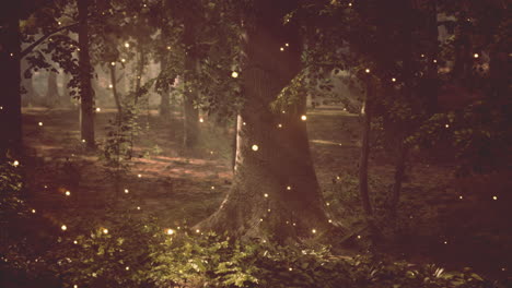 enchanted forest with fireflies