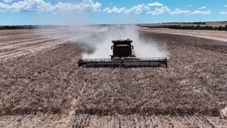 explore the cutting-edge machinery and precision in action during a large-scale lupin harvesting operation