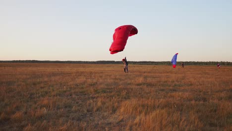 parachutist lands in the field after disembarking from the plane on the background of other parachutists