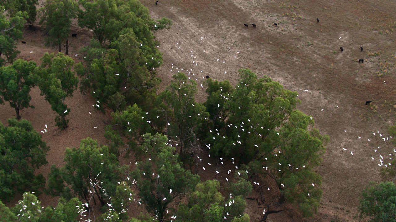 가뭄 피해 토지의 공중