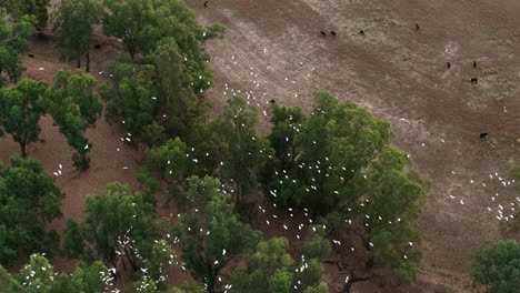 antena de la tierra afectada por la sequía