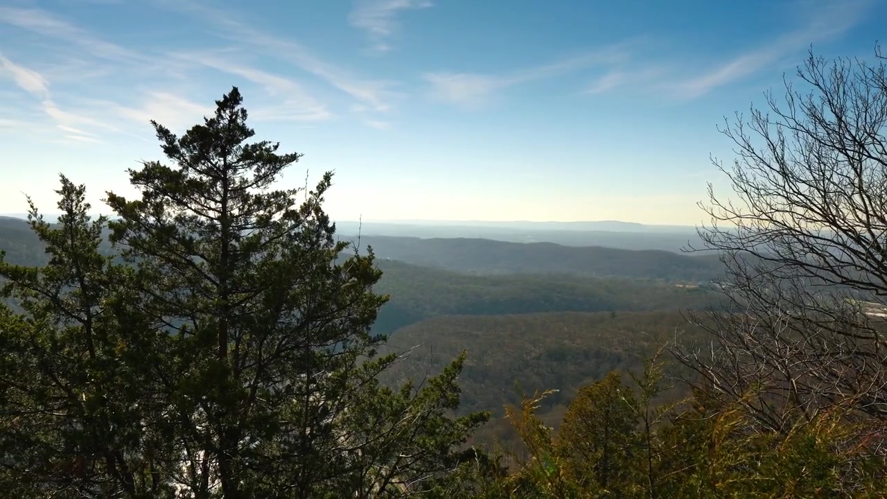 Alberi sempreverdi su una cresta rocciosa che si affaccia su lontane colline montuose. Ampia inquadratura paesaggistica della chioma della foresta e di dolci colline sotto un cielo azzurro brillante