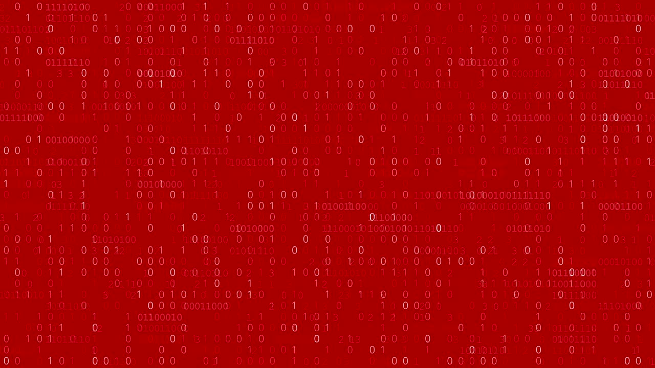 Computer Data Error