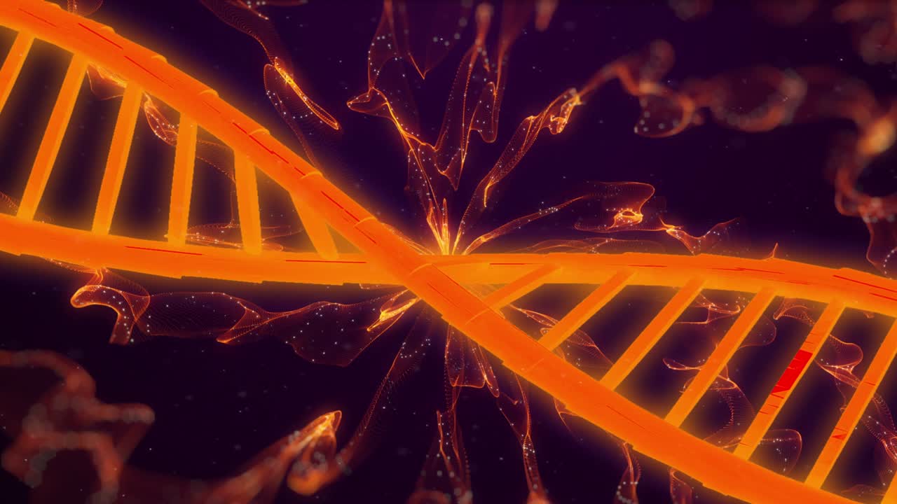검은 바탕에 오렌지색 빛 흔적과 함께 회전하는 오렌지색 dna 가닥의 애니메이션