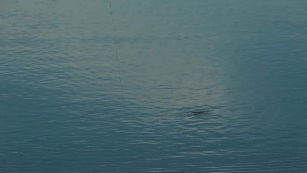 호수 에 주기적 으로 침몰 하는 떠다니는 물체 2