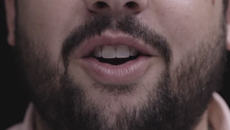 close-up of a bearded man's smile, focusing on white teeth and facial hair details