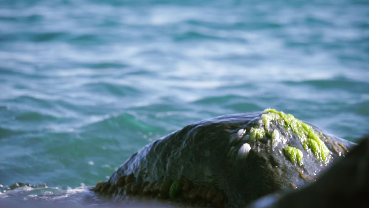 바다의 파도가 바위에 부히고