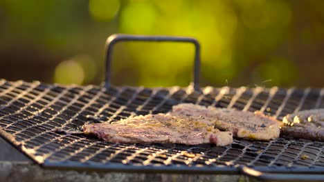 barbacoa parrilla braai humo procedente del fuego-2