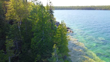 See-Mit-Kristallklarem-Wasser,-Umgeben-Von-Grünen-Bäumen