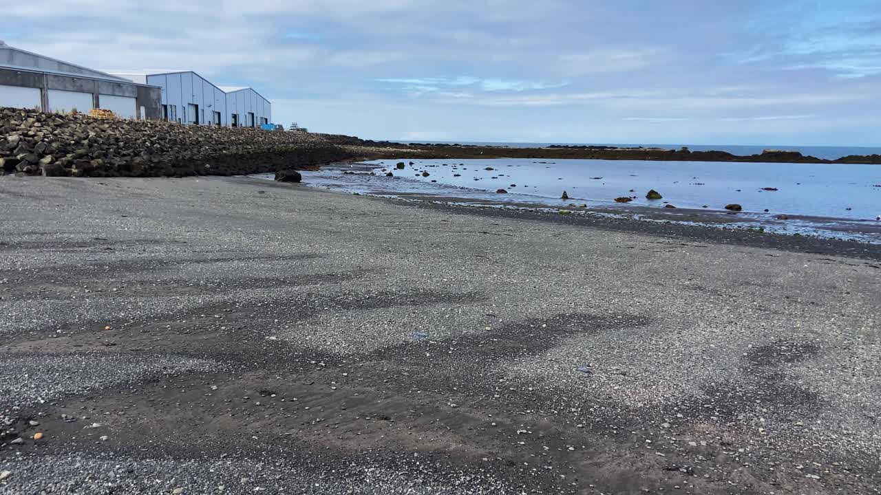 playa volcánica oscura cerca de la ciudad de akranes en islandia con perro dálmata, vista panorámica