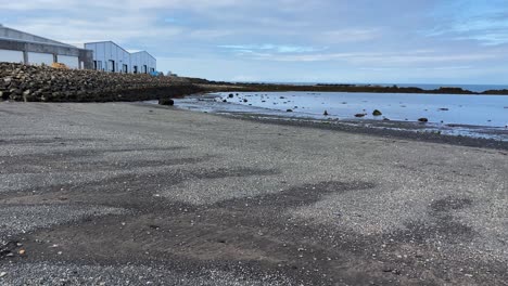 Dunkler-Vulkanstrand-In-Der-Nähe-Der-Stadt-Akranes-In-Island-Mit-Dalmatinerhund,-Panoramaansicht